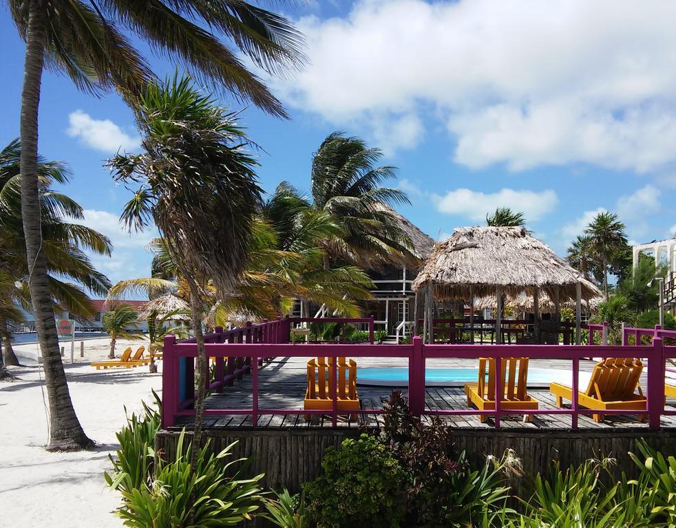 Exotic Caye Beach Resort Сан-Педро Экстерьер фото